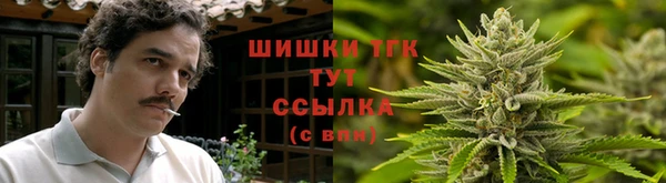 спиды Новодвинск