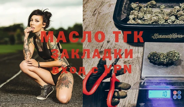 спиды Новодвинск