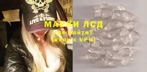 спиды Новодвинск