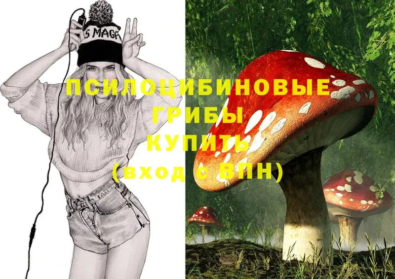 Псилоцибиновые грибы Psilocybe  Белая Холуница 